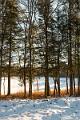2017_01_21 (0049)